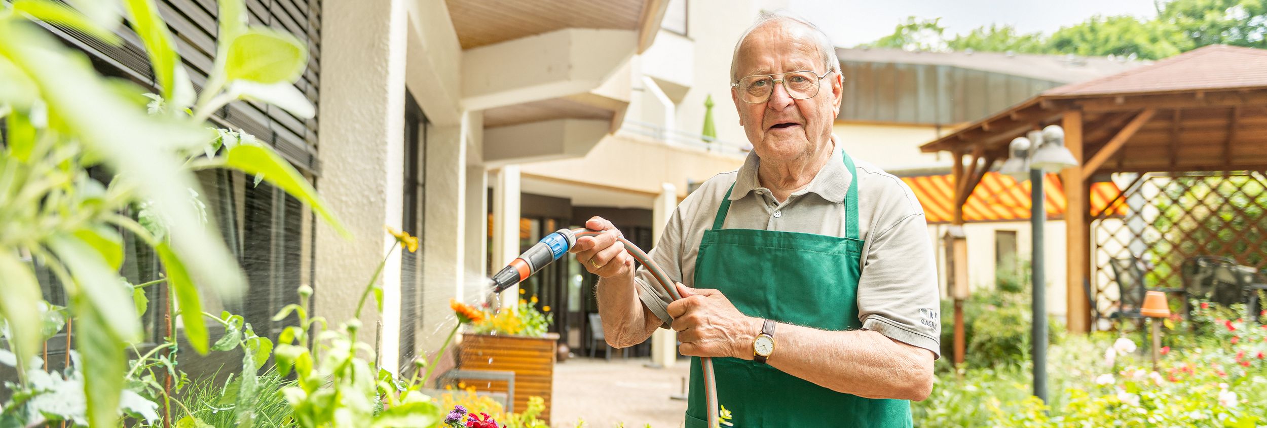 Älterer Mann in grüner Schürze gießt Blumen mit Gartenschlauch
