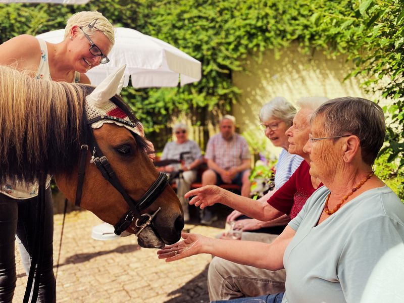 ältere Menschen füttern ein Pony